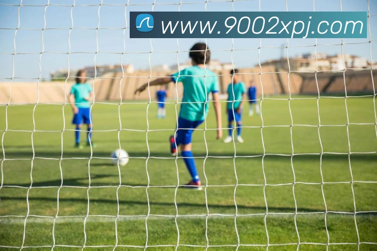 新葡京在线网址服务体系